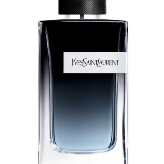 Perfume YVES SAINT LAURENT Y 100ml EDP