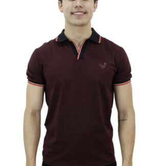 Playera para Hombre Marca PAVINI P-2197-burg